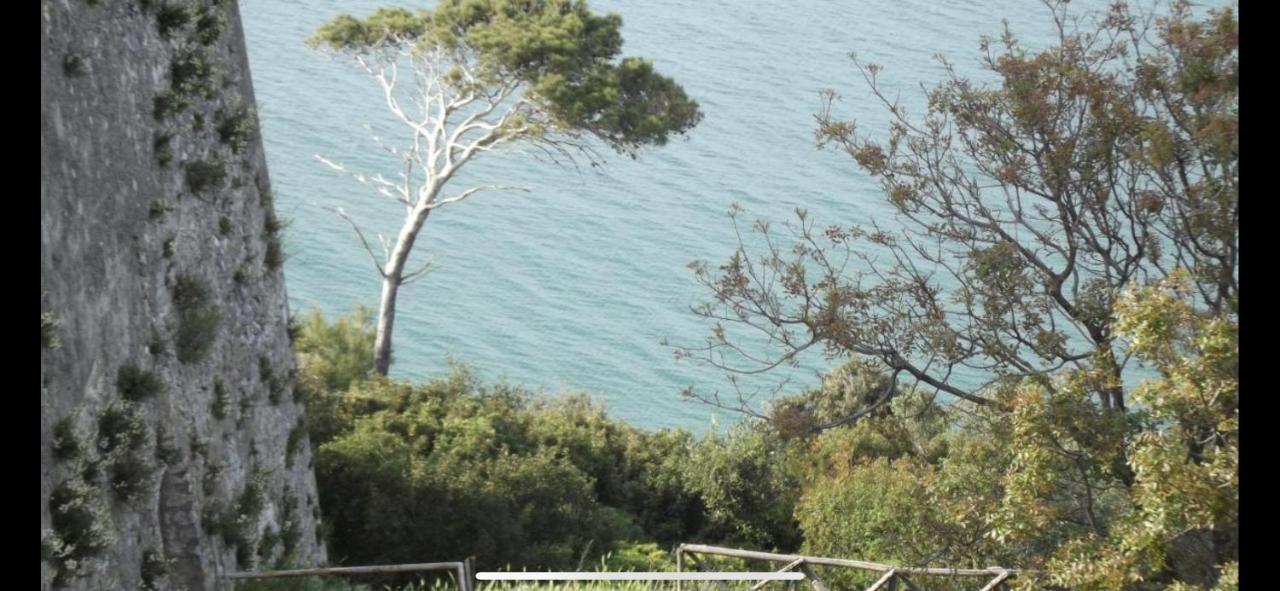Villa Pineta San Menaio Ngoại thất bức ảnh